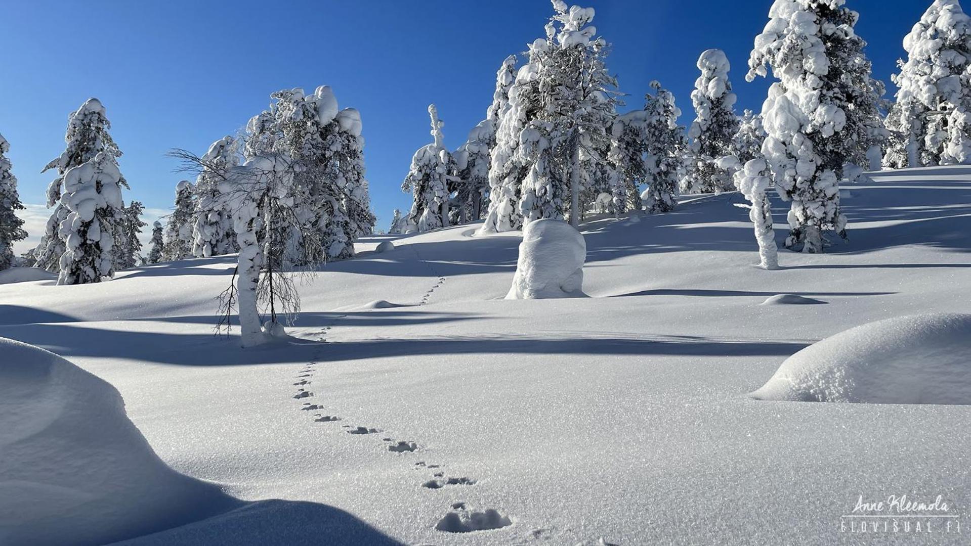 Milis Chalet Ylläsjärvi Exterior foto